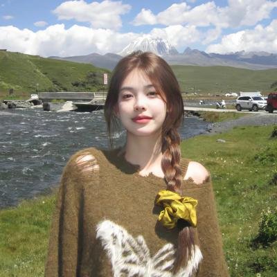 布里斯比熊